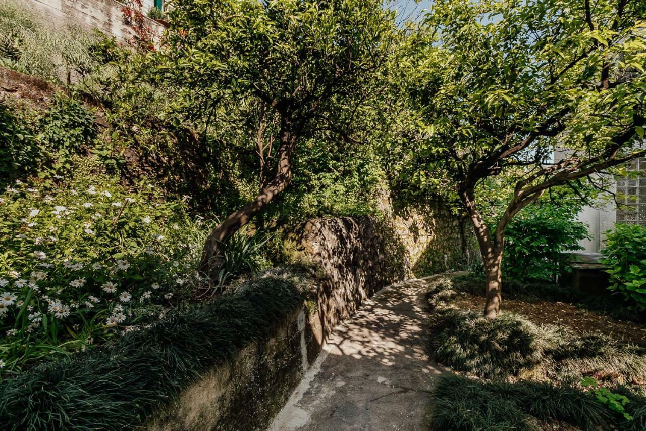 Boka Apartment 4 Herceg Novi Exteriér fotografie