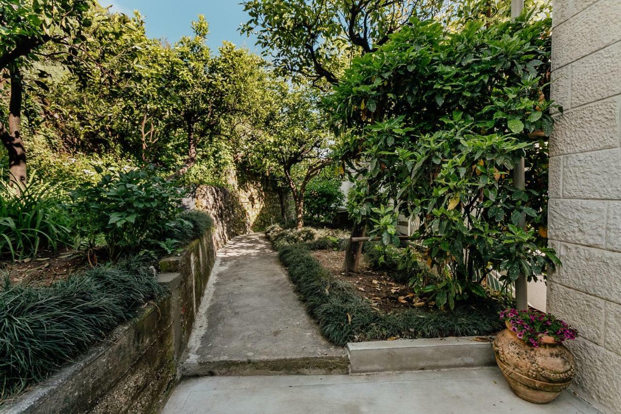 Boka Apartment 4 Herceg Novi Exteriér fotografie